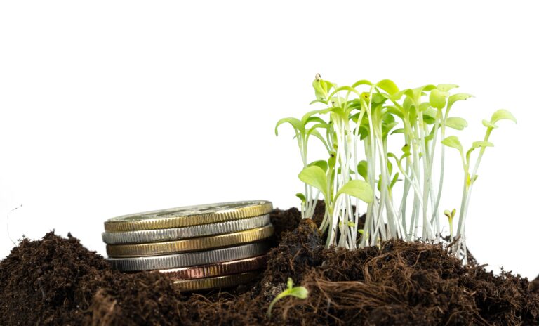 Coins stack of money and growing plant, financial concept